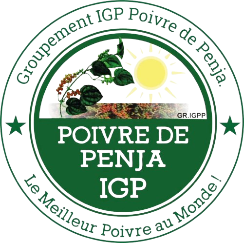 Logo partenaire