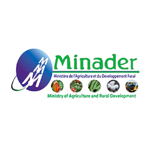 Logo partenaire