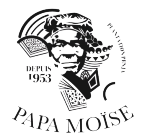 Papa Moïse